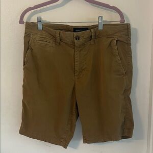 American Eagle Outfitters Brown Flat Front Shorts